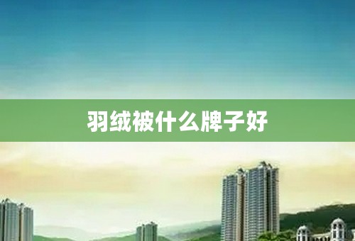 羽绒被什么牌子好