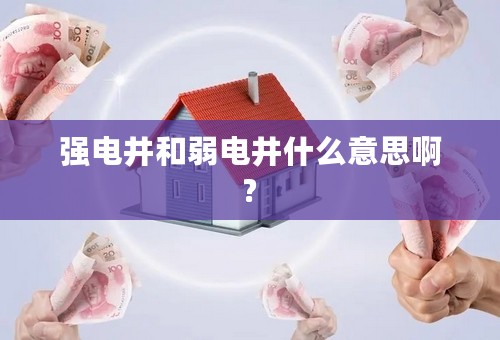 强电井和弱电井什么意思啊?