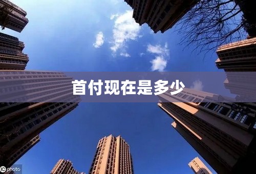 首付现在是多少