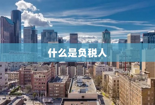 什么是负税人