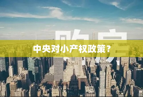 中央对小产权政策？