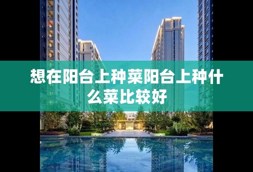 想在阳台上种菜阳台上种什么菜比较好