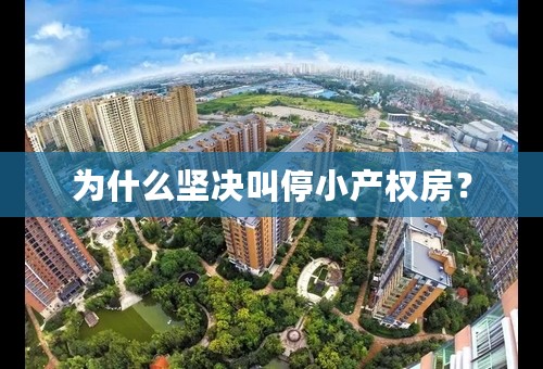 为什么坚决叫停小产权房？