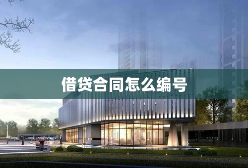 借贷合同怎么编号