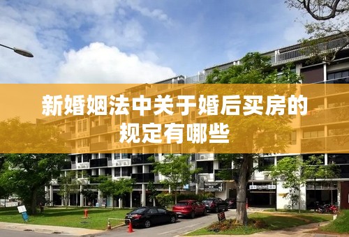 新婚姻法中关于婚后买房的规定有哪些