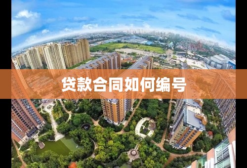 贷款合同如何编号