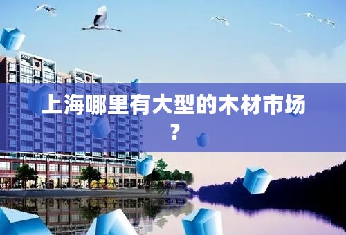 上海哪里有大型的木材市场？