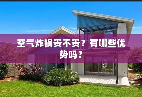 空气炸锅贵不贵？有哪些优势吗？