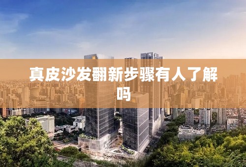 真皮沙发翻新步骤有人了解吗