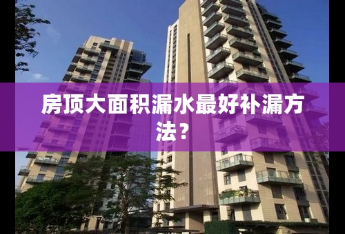 房顶大面积漏水最好补漏方法？