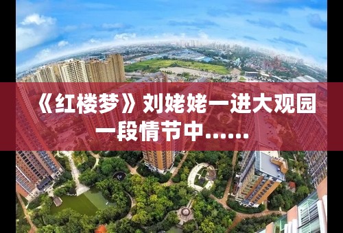 《红楼梦》刘姥姥一进大观园一段情节中……