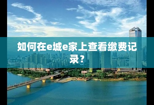 如何在e城e家上查看缴费记录？