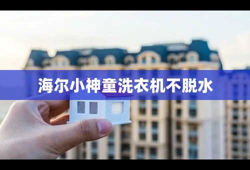 海尔小神童洗衣机不脱水