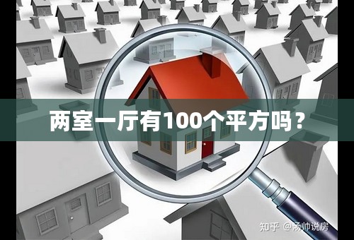 两室一厅有100个平方吗？
