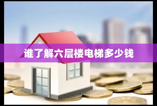 谁了解六层楼电梯多少钱