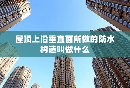 屋顶上沿垂直面所做的防水构造叫做什么