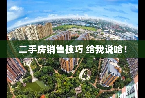 二手房销售技巧 给我说哈！