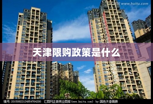天津限购政策是什么