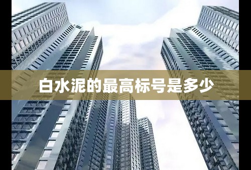 白水泥的最高标号是多少