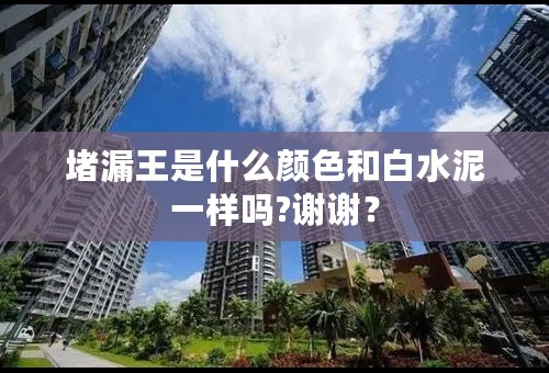 堵漏王是什么颜色和白水泥一样吗?谢谢？