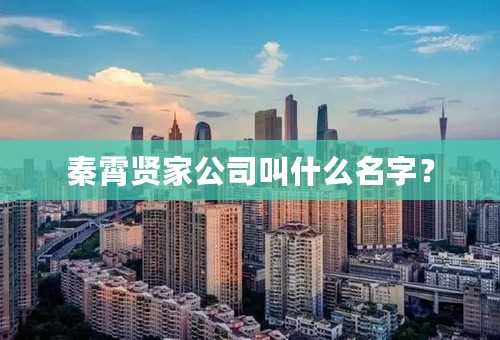 秦霄贤家公司叫什么名字？