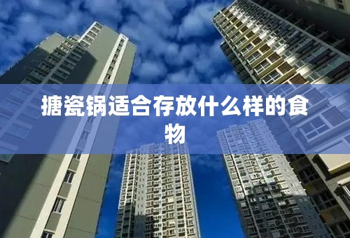 搪瓷锅适合存放什么样的食物