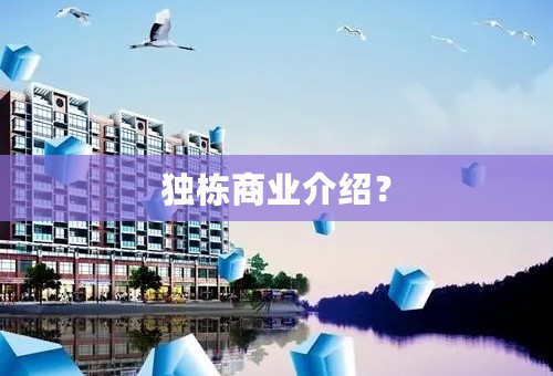 独栋商业介绍？