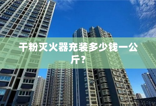 干粉灭火器充装多少钱一公斤？