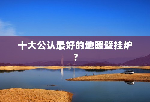 十大公认最好的地暖壁挂炉？