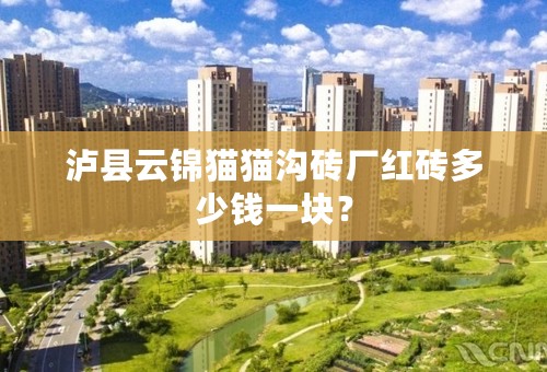 泸县云锦猫猫沟砖厂红砖多少钱一块？