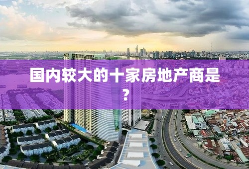 国内较大的十家房地产商是？