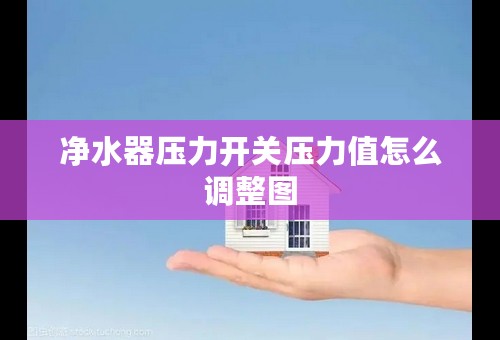 净水器压力开关压力值怎么调整图