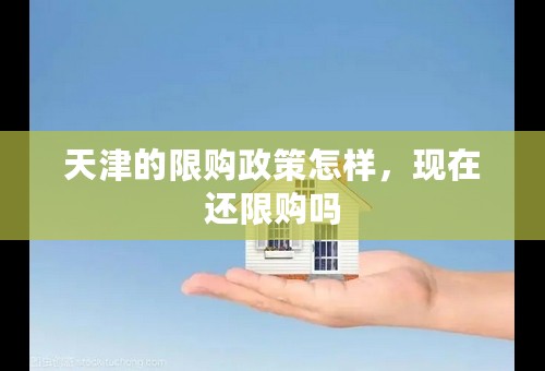 天津的限购政策怎样，现在还限购吗
