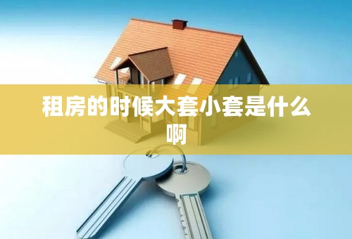 租房的时候大套小套是什么啊