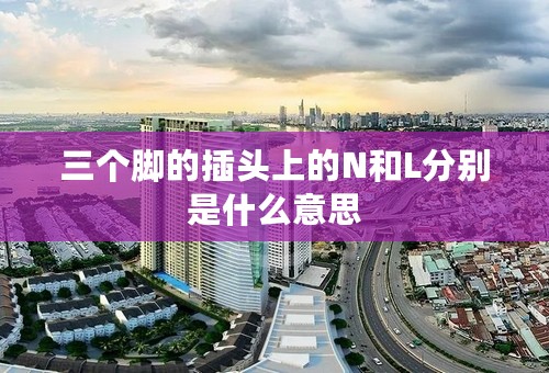 三个脚的插头上的N和L分别是什么意思