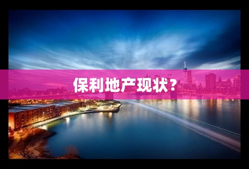 保利地产现状？