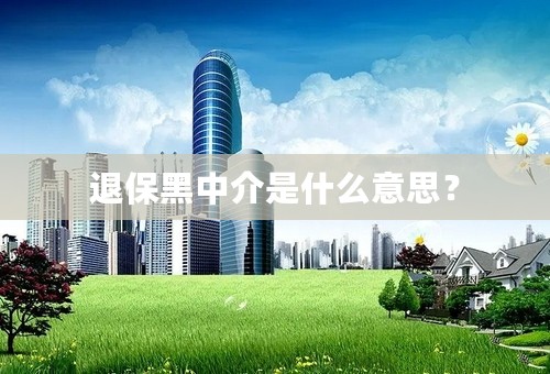 退保黑中介是什么意思？