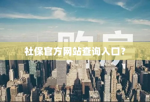 社保官方网站查询入口？