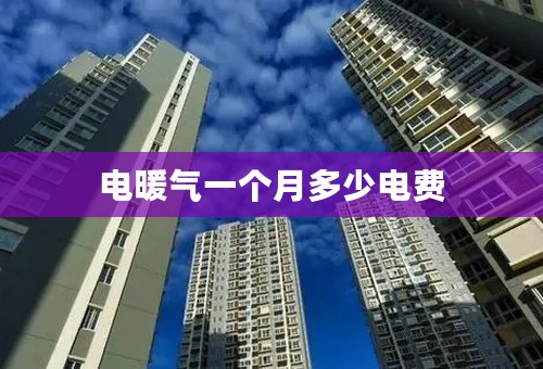 电暖气一个月多少电费