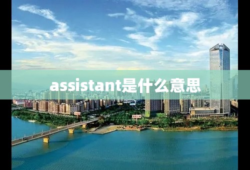assistant是什么意思