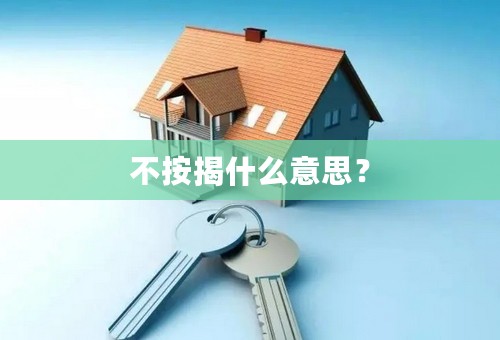 不按揭什么意思？