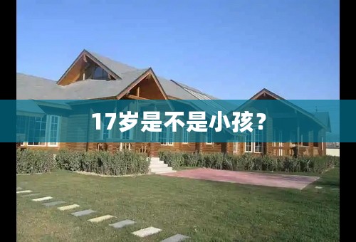 17岁是不是小孩？