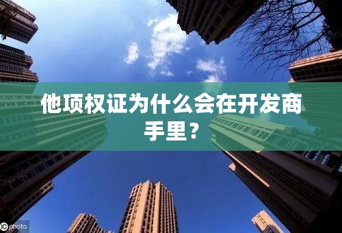 他项权证为什么会在开发商手里？