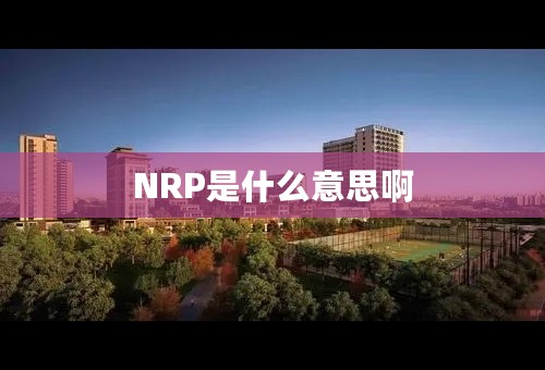 NRP是什么意思啊