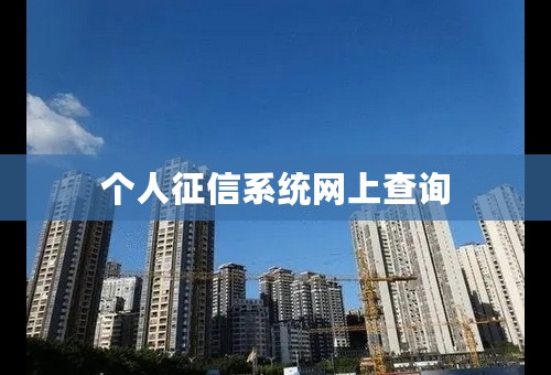 个人征信系统网上查询