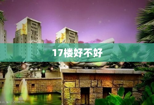 17楼好不好