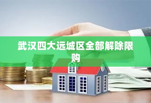 武汉四大远城区全部解除限购
