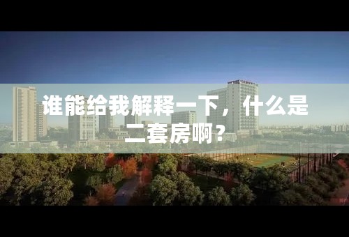 谁能给我解释一下，什么是二套房啊？