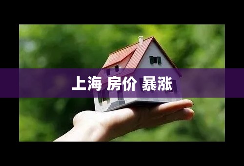 上海 房价 暴涨