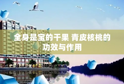 全身是宝的干果 青皮核桃的功效与作用